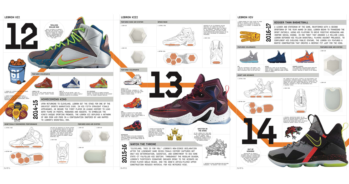 LeBron 17. Nike ES