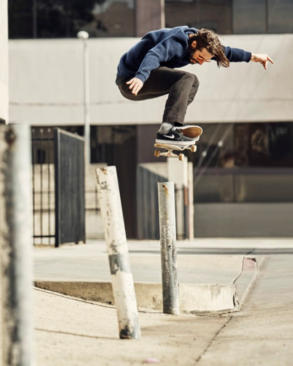 nike sb syl skate shop