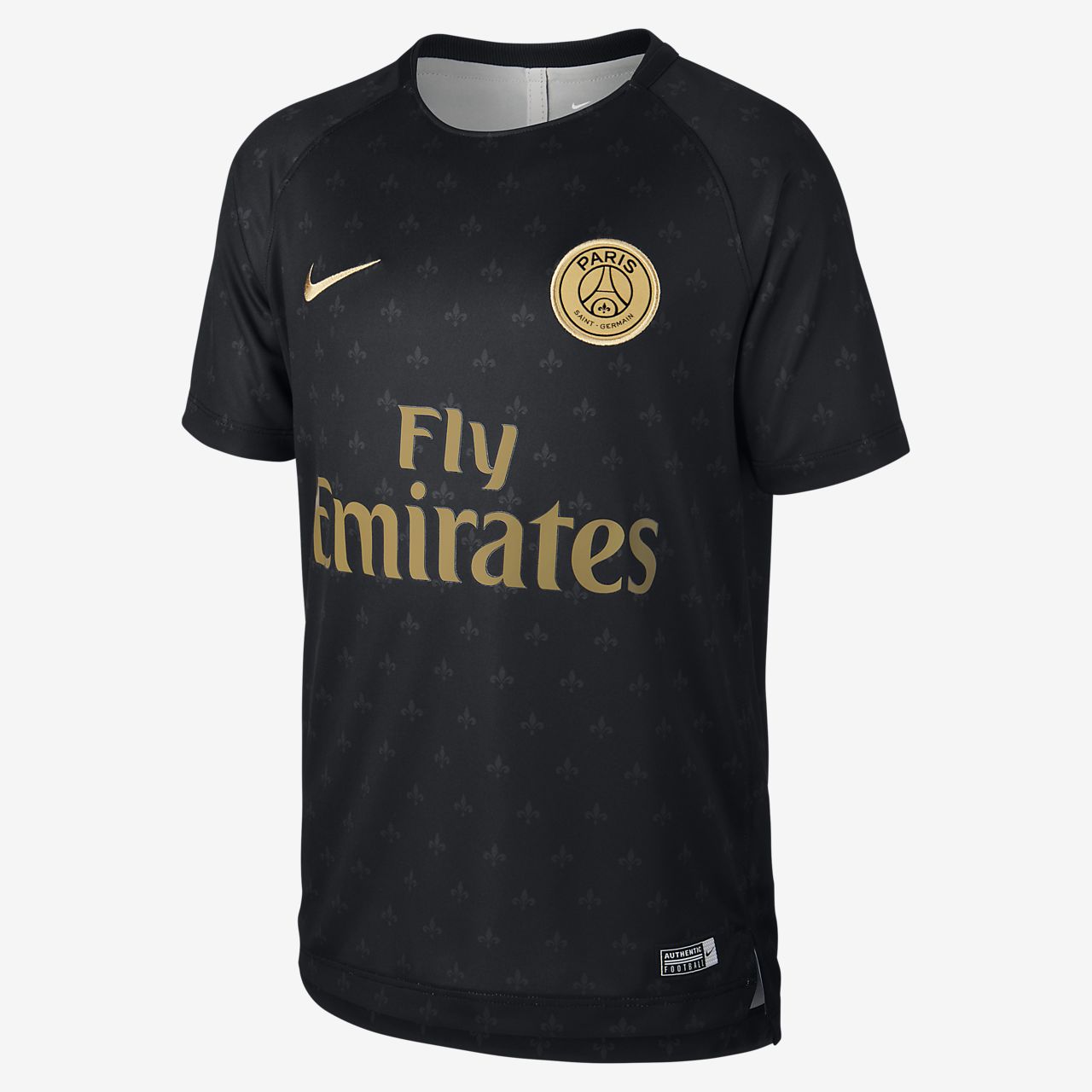 nike psg dri fit squad
