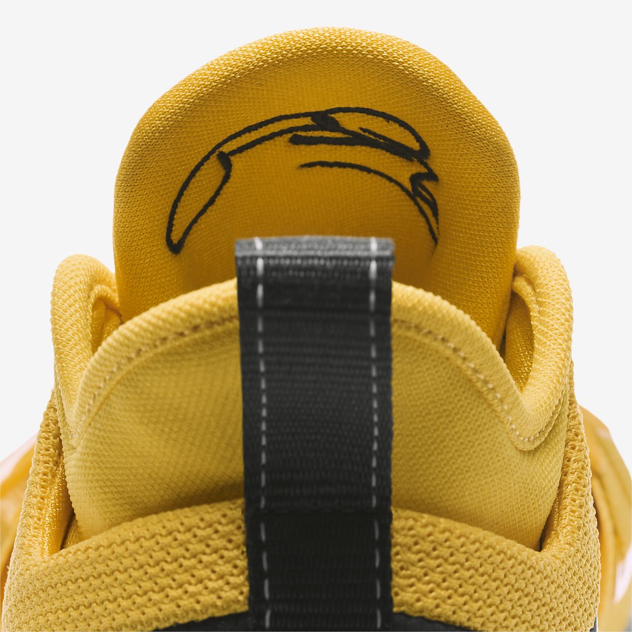 nike n7 pg 2.5