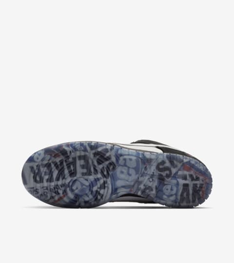 pigeon nike sb