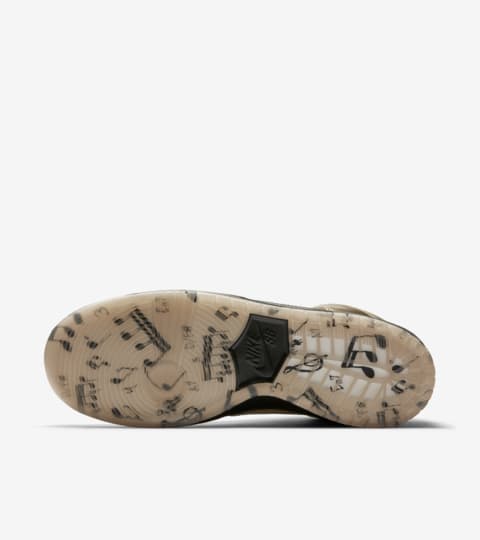nike sb humidity