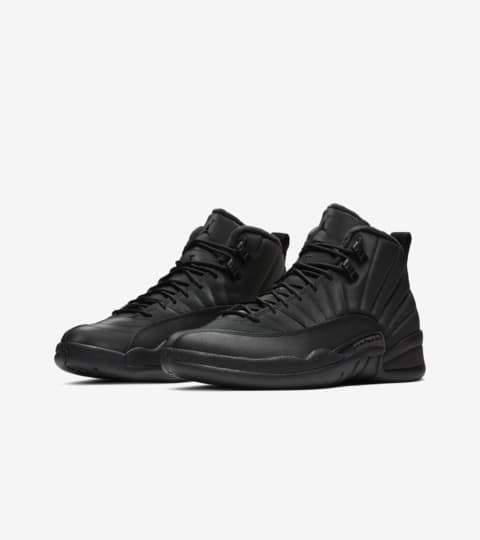 air jordan 12 black