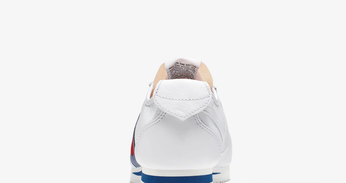 dimension 6 cortez