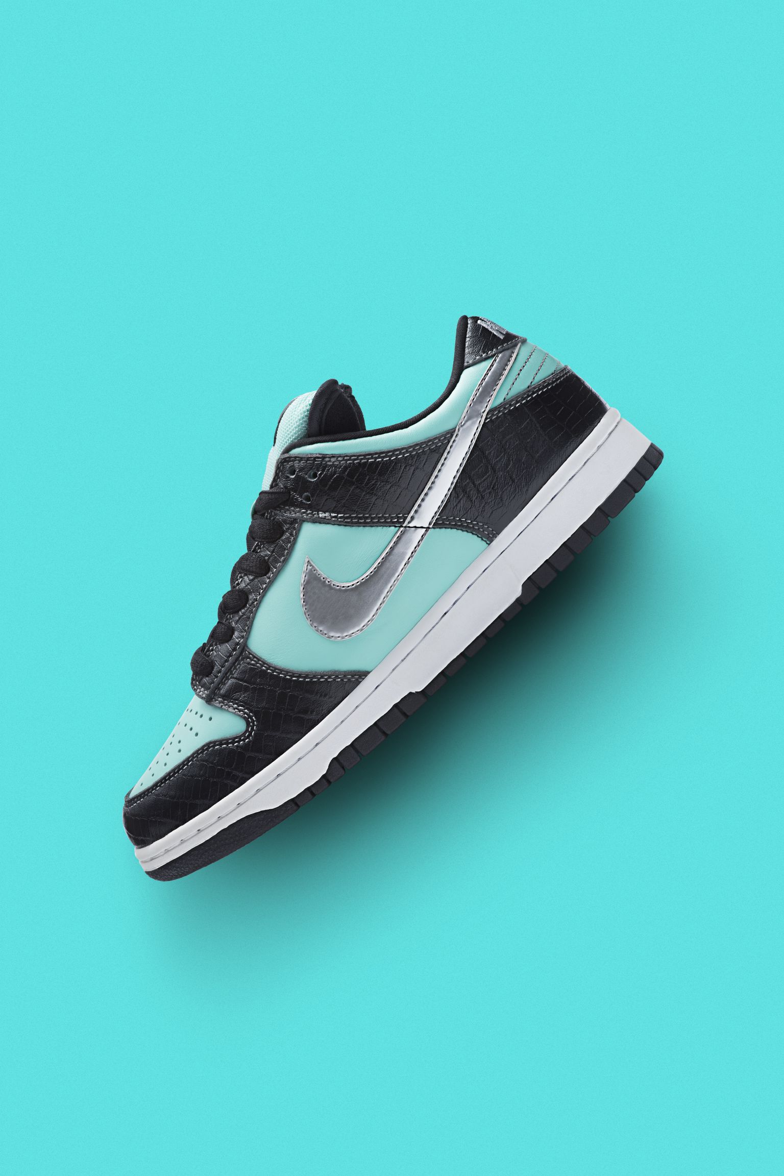 Nike 15 Years of SB Dunk Nike 15 Years of SB Dunk