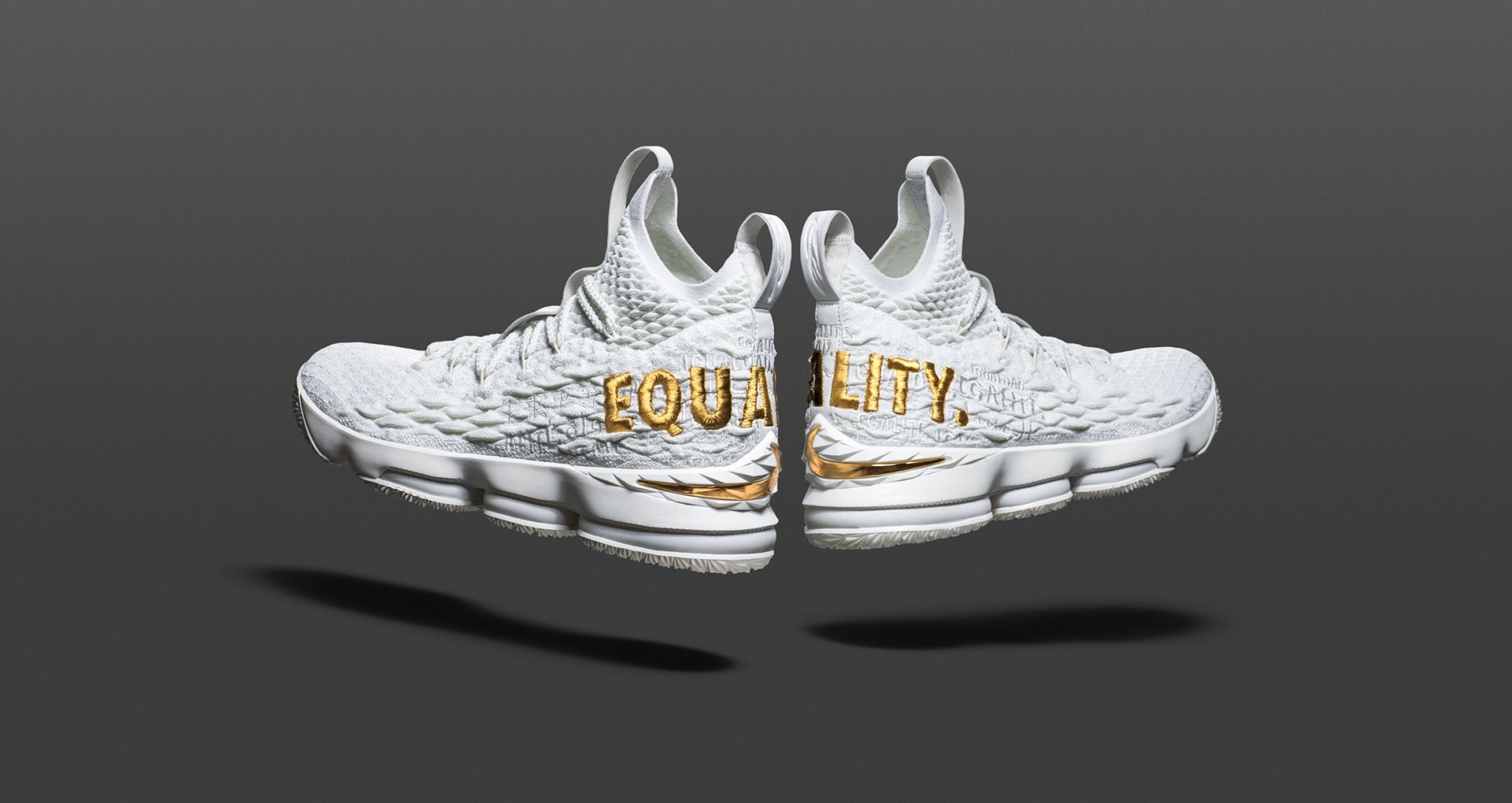 lebron equality shoes