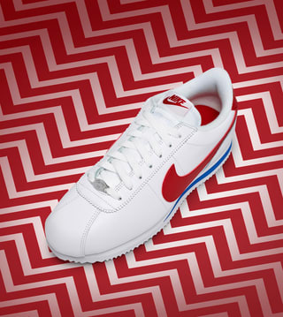 nike cortez basic nylon compton