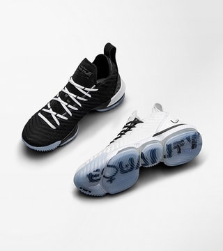 lebron 16 black and white equality