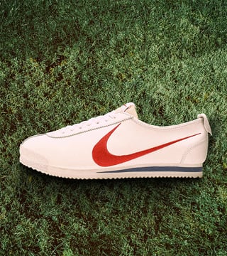 cortez shoes dog